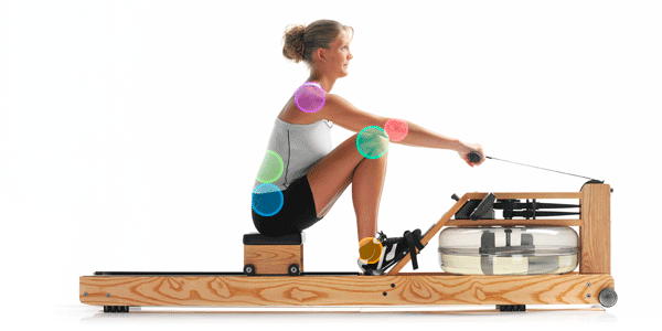 rowing animation